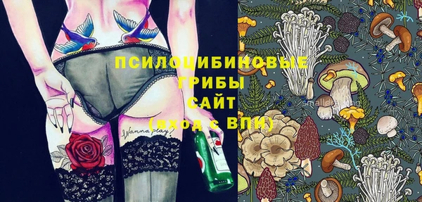 2c-b Аркадак